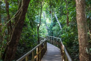 Manaul Antonio National Park