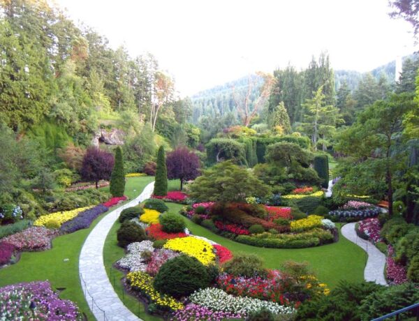 Amazing Flower Gardens