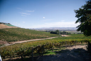 Boise Winery Tours