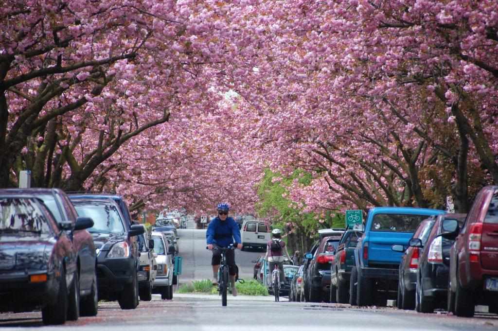 Spring Travel in Canada