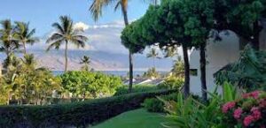 Maui: Tropical Paradise for Family Escapes