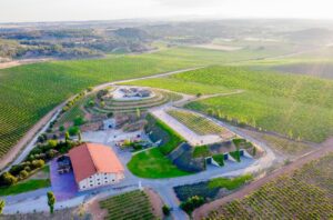 Best Ribera del Duero Wineries