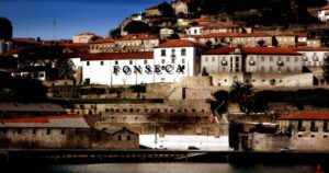 Best Port Houses in Porto