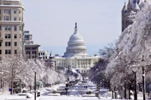 Best Time to Visit the United States for Families